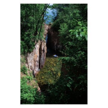 Minnesota Lake Superior Relaxation Photo Postcard